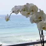 Lägenhet Aa Guest - Sky Center Beachfront Sea Views Eco