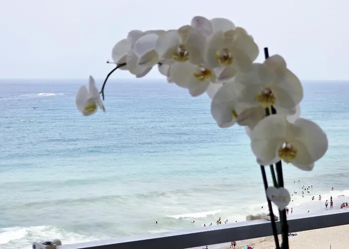 Daire Aa Guest - Sky Center Beachfront Sea Views Eco